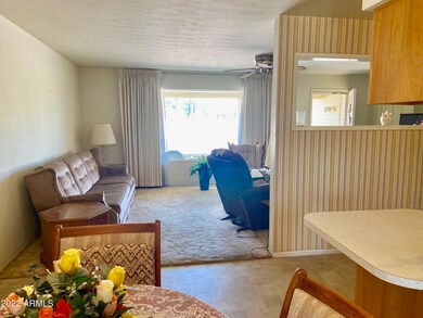 5709 E Adobe Rd, Mesa, AZ 85205 - photo 6