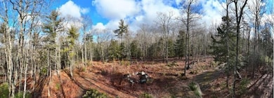 Lot#009-02 Powderhorn Rd, Jefferson, ME 04348 - photo 2