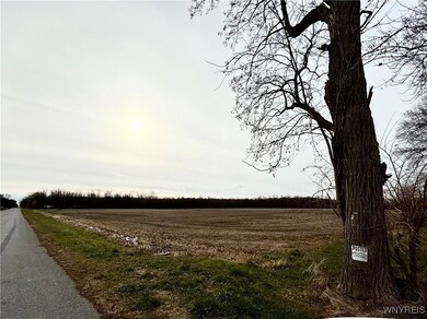 2728 Marshall Rd, Medina, NY 14103 - photo 6