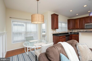 10207 Pembroke Green Place, Columbia, MD 21044 - photo 7