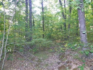 0 Hickory Hill Rd unit R1641484, Bath, NY 14810 - photo 4