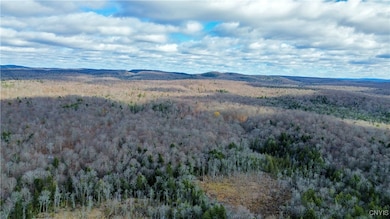 Lot 3 Jerseyfield Rd, Little Falls, NY 13365 - photo 5