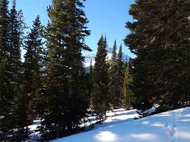 59A Little Thunder Lot 59a 4 46 Acre, Big Sky, MT 59716 - photo 6