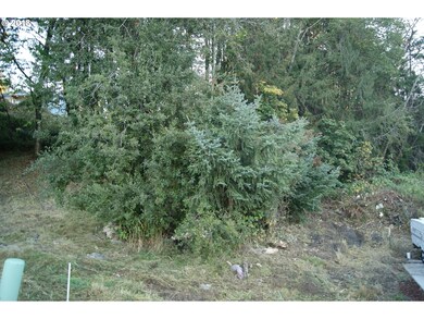 0 Richards Dr unit 18114657, Rainier, OR 97048 - photo 5