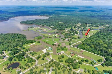 44 Wildwood Lake Dr, Huntsville, TX 77340 - photo 7