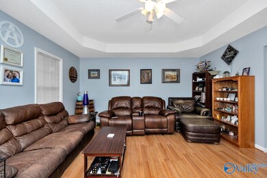 Laminate flooring, trey ceiling, ceiling fan