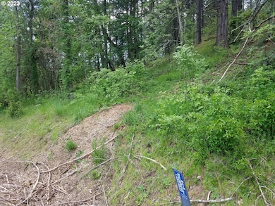 0 Willis Creek Rd unit 23389927, Winston, OR 97496 - photo 4