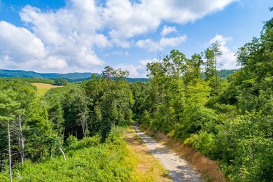 TBD Kimberling Rd, Bland, VA 24315 - photo 7
