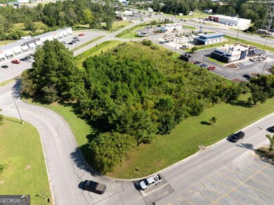 0 Golden Isle W unit 10595385, Baxley, GA 31513 - photo 6