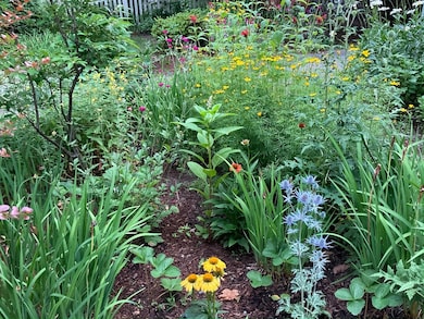 58 Corey Rd, Brookline, MA 02445 - photo 7