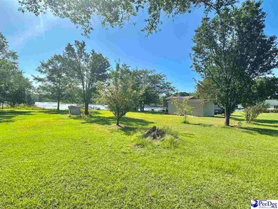 1636 Ralph Bell Rd, Summerton, SC 29148 - photo 2