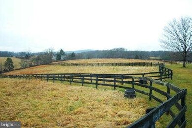 9917 Millrace Ln, Marshall, VA 20115 - photo 7