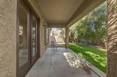 BackPatio