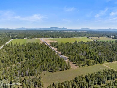 24899 N Ellington Ct, Athol, ID 83801 - photo 4