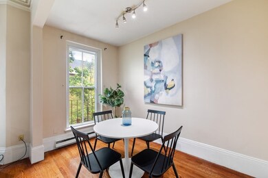 80 W Concord St unit 3, Boston, MA 02118 - photo 7