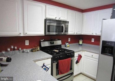 3835 9th St N unit 403W, Arlington, VA 22203 - photo 7