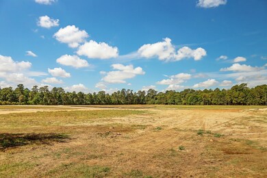 2212 Stallion Lakes Ave, Hockley, TX 77447 - photo 7