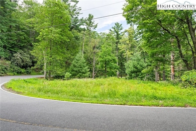 Lots 127, 128, 129 Cone Rd, Blowing Rock, NC 28605 - photo 2