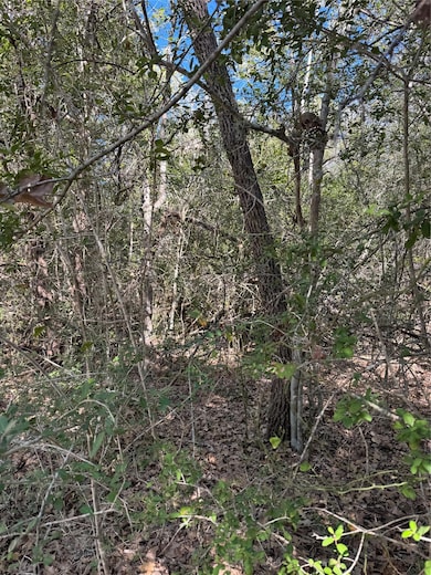 Lot 195 Kaelepulu Dr, Bastrop, TX 78602 - photo 4