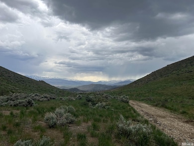 0 None unit 230005265, Gardnerville, NV 89440 - photo 3