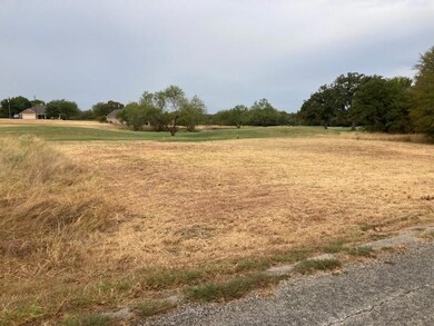 27188 Whispering Meadow Dr, Whitney, TX 76692 - photo 2