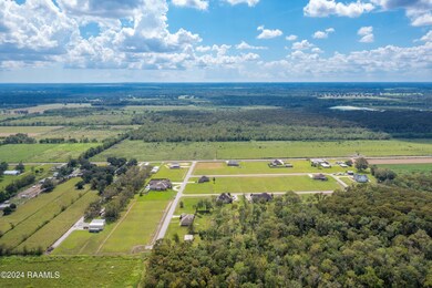 CypressCreek-1