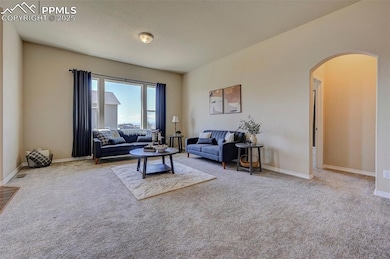 Carpeted living room with arched walkways and baseboards