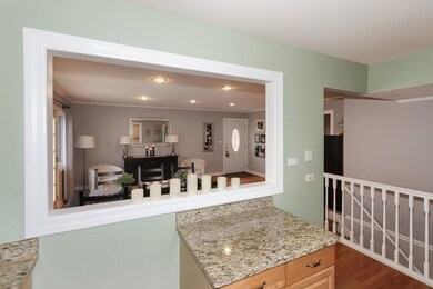 1317 S 2nd Ave, Des Plaines, IL 60018 - photo 5