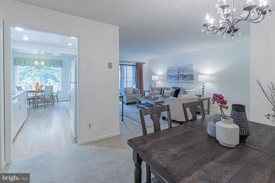 15211 Elkridge Way unit 2A, Silver Spring, MD 20906 - photo 7