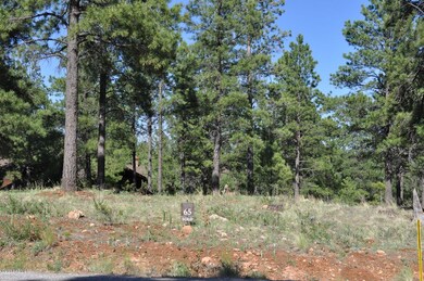 Lot 65