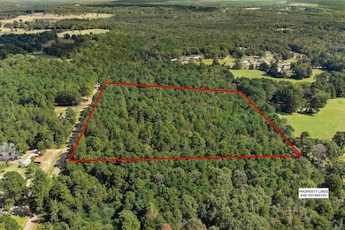 6.4 acres, TBD Narcissus Rd, Ore City, TX 75683 - photo 3