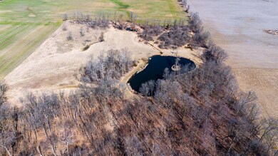 4-web-or-mls-Willow Vacant Land-4