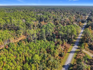 810 Paradise Blvd, Georgetown Cove, FL 32139 - photo 7