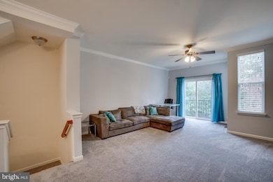 16776 Blackjack Oak Ln, Woodbridge, VA 22191 - photo 5