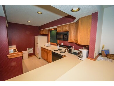 48 Greenspring Rd unit C, Dover, VT 05356 - photo 5