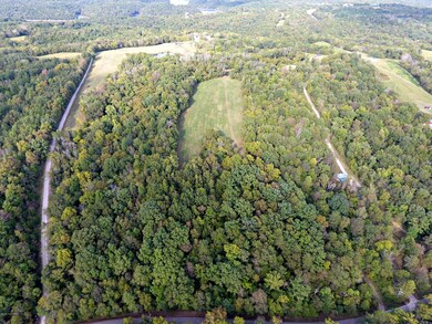 401 Olde Ashes Creek Rd, Bloomfield, KY 40008 - photo 4