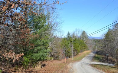 Additional View