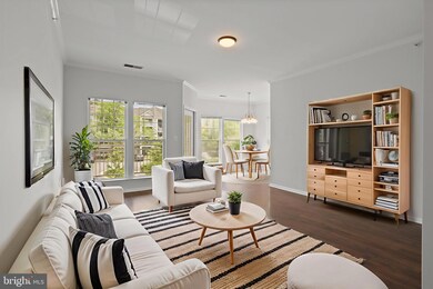 1511 N Point Dr unit 304, Reston, VA 20194 - photo 4