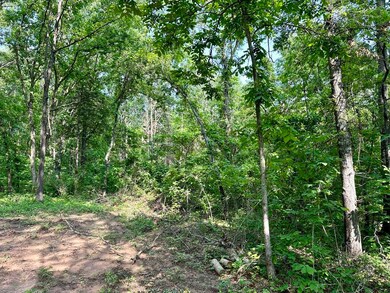 Gorgeous Secluded Acreage