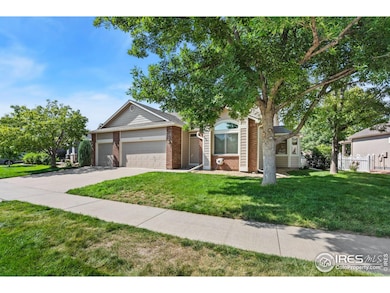 232 Cattail Bay, Windsor, CO 80550 - photo 2
