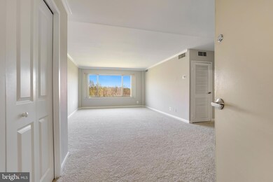 10570 Main St unit 503, Fairfax, VA 22030 - photo 3