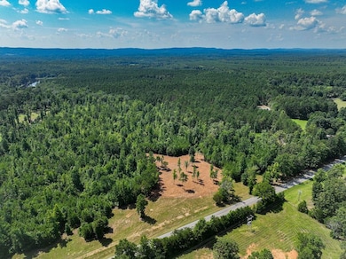 0 Coaling Rd unit 24403018, Sylacauga, AL 35151 - photo 4