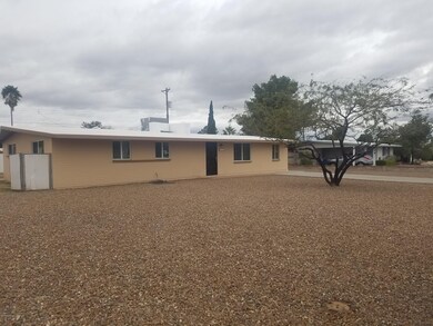 Front Yard 4