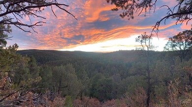 33020 Meadow Ct, Trinidad, CO 81082 - photo 3