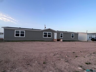 1010 Butternut St, Carlsbad, NM 88220 - photo 2