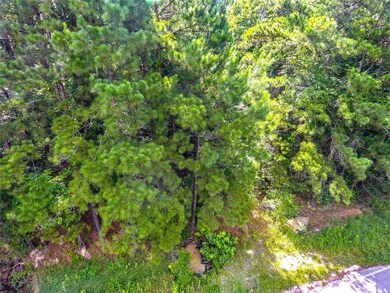 28400 Sweetgum Rd, Magnolia, TX 77354 - photo 5