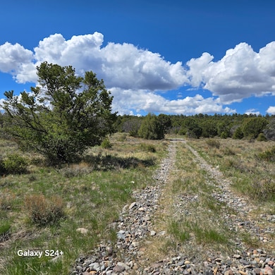 173 Kendall Rd, Ridgway, CO 81432 - photo 5