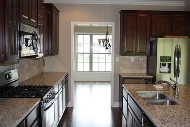 12325 Chirping Bird Ln, Knoxville, TN 37932 - photo 3