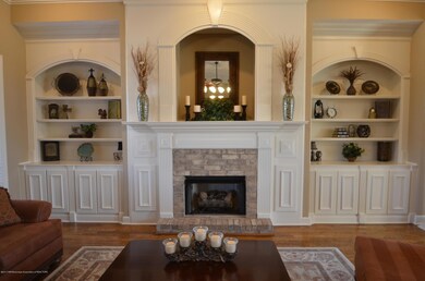 Built in bookcases