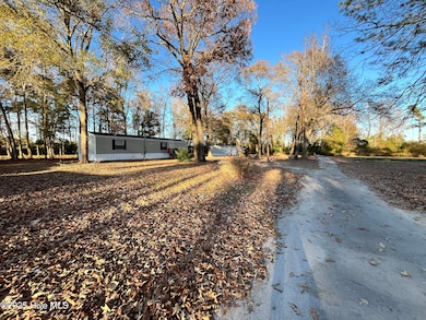 125 Old Railroad Trail, Pollocksville, NC 28573 - photo 5